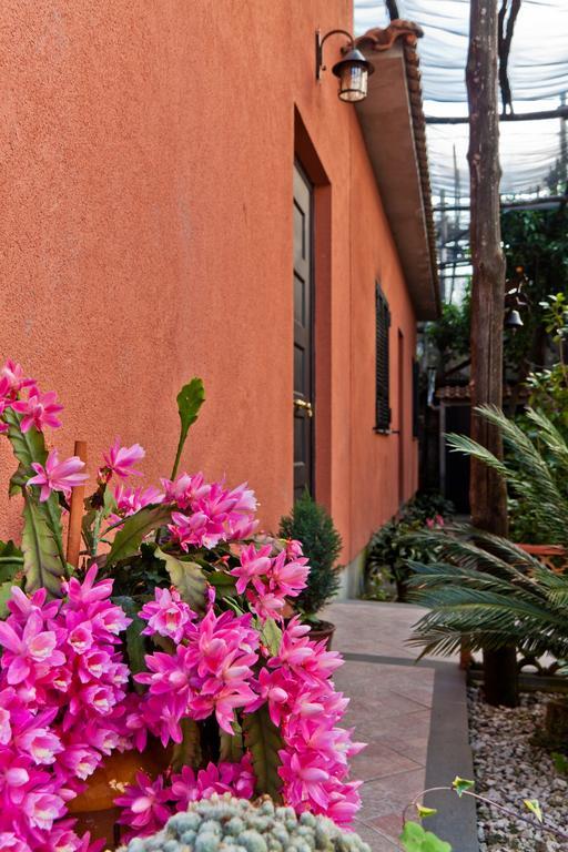 La Maison De Titty & Margherita Piano di Sorrento Buitenkant foto
